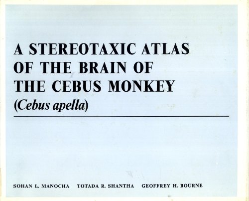 Imagen de archivo de A Stereotaxic Atlas of the Brain of the Cebus Monkey (Cebus Apella) a la venta por Better World Books