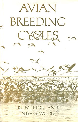 Avian Breeding Cycles (9780198573579) by Murton, R K