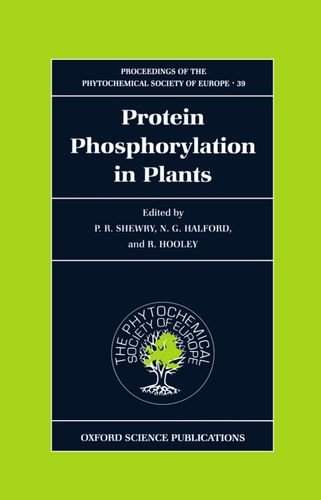 Stock image for PROCEEDINGS OF THE PHYTOCHEMICAL SOCIETY OF EUROPE, 39: PROTEIN PHOSPHORYLATION IN PLANTS. for sale by Cambridge Rare Books