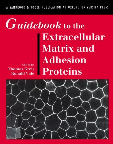 Beispielbild fr Guidebook to the Extracellular Matrix and Adhesion Proteins zum Verkauf von Ammareal