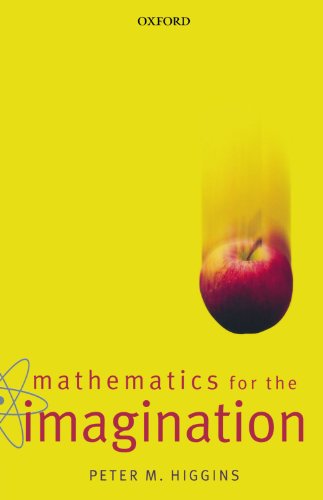 9780198604600: Mathematics for the Imagination