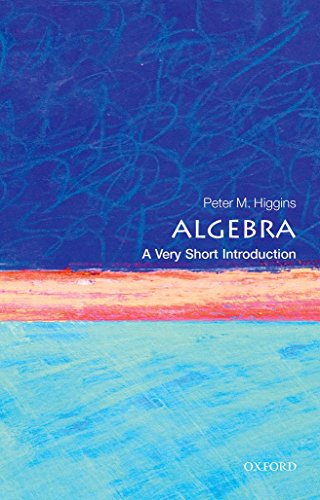 9780198732822: Algebra: A Very Short Introduction