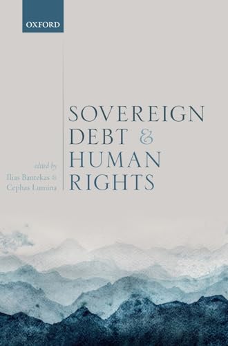 Stock image for Sovereign Debt and Human Rights for sale by Anybook.com