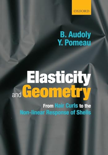 Stock image for Elasticity and Geometry for sale by Blackwell's