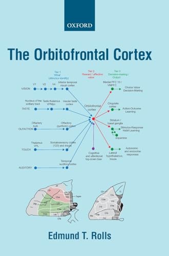 Imagen de archivo de The Orbitofrontal Cortex a la venta por Lucky's Textbooks