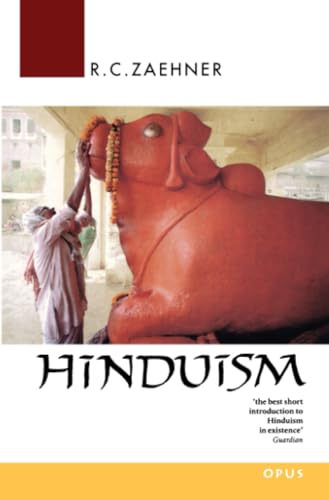 Beispielbild fr Hinduism zum Verkauf von Better World Books