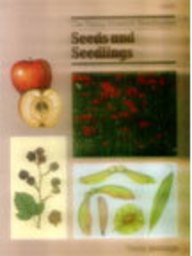 Stock image for Seeds and Seedlings : The Young Scientist Investigates for sale by J J Basset Books, bassettbooks, bookfarm.co.uk