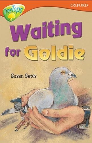 Stock image for Oxford Reading Tree: Level 13: TreeTops Stories: Waiting for Goldie for sale by WorldofBooks