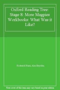 Beispielbild fr Oxford Reading Tree: Stage 8: More Magpies Workbooks: What Was it Like? zum Verkauf von AwesomeBooks