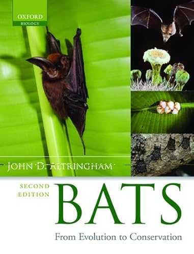 9780199207114: Bats: From Evolution to Conservation