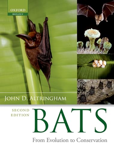 Imagen de archivo de Bats: From Evolution to Conservation a la venta por WorldofBooks