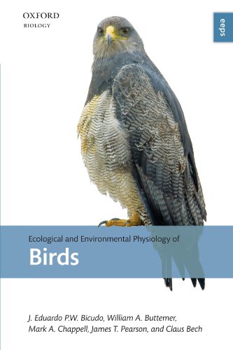 Imagen de archivo de Ecological and Environmental Physiology of Birds a la venta por ThriftBooks-Dallas