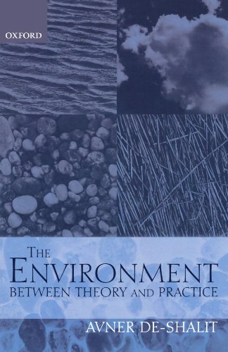 Imagen de archivo de The Environment: Between Theory and Practice a la venta por Better World Books: West