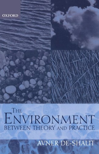 Stock image for The Environment: Between Theory and Practice for sale by Better World Books: West