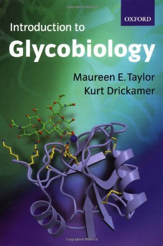 Imagen de archivo de Introduction to Glycobiology a la venta por BookHolders