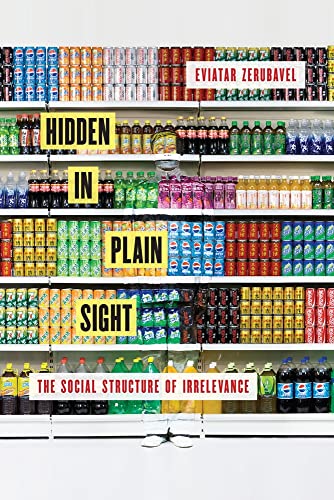 Beispielbild fr Hidden in Plain Sight: The Social Structure of Irrelevance zum Verkauf von BooksRun