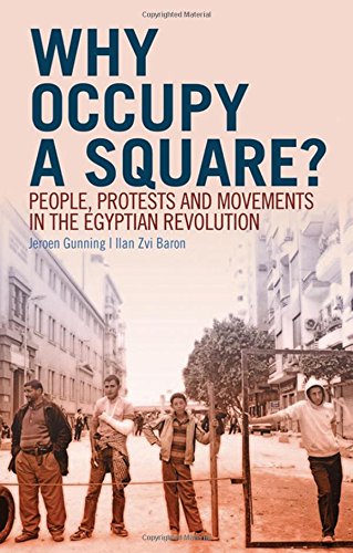 Stock image for Why Occupy a Square? for sale by Blackwell's