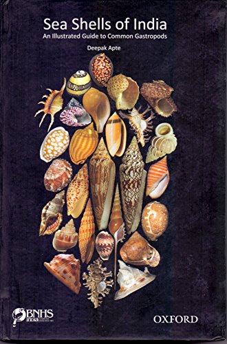 Beispielbild fr Sea Shells of India (Paperback) zum Verkauf von Iridium_Books