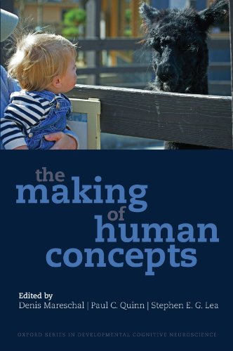 9780199549221: The Making of Human Concepts (Oxford Series in Developmental Cognitive Neuroscience)