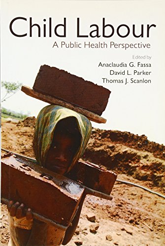 Imagen de archivo de Child Labour: A Public Health Perspective a la venta por Ergodebooks