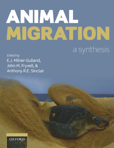 Stock image for Animal Migration: A Synthesis for sale by Revaluation Books