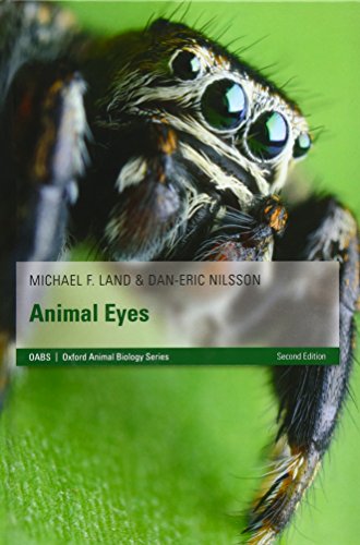 9780199581139: Animal Eyes