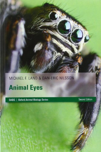 Imagen de archivo de Animal Eyes a la venta por Blackwell's