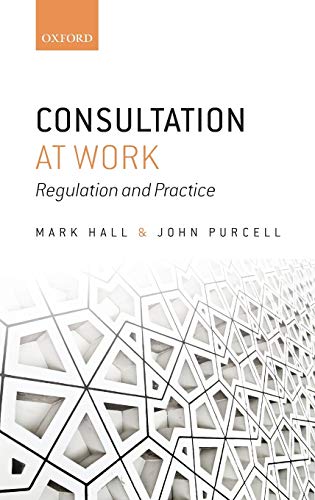 Imagen de archivo de CONSULTATION AT WORK C: Regulation and Practice a la venta por AwesomeBooks