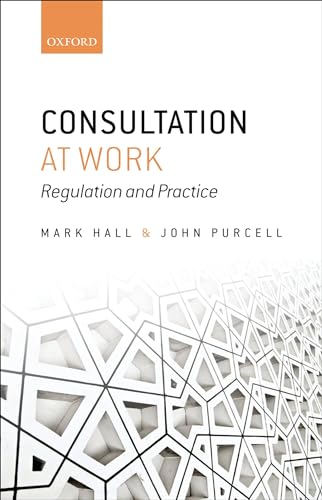 Stock image for CONSULTATION AT WORK C: Regulation and Practice for sale by AwesomeBooks