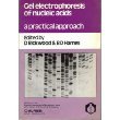 Stock image for Gel Electrophoresis of Nucleic Acids: A Practical Approach (The Practical Approach Series, 64) for sale by HPB-Red