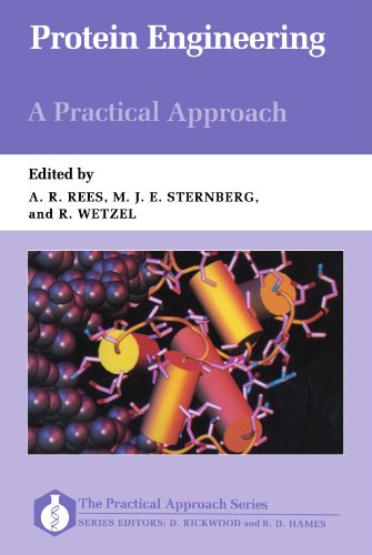 Imagen de archivo de Protein Engineering: A Practical Approach a la venta por ThriftBooks-Dallas