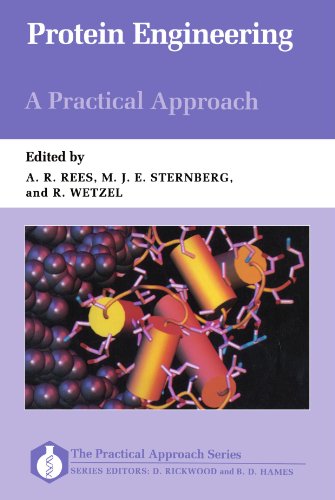 Stock image for Protein Engineering: A Practical Approach for sale by ThriftBooks-Dallas