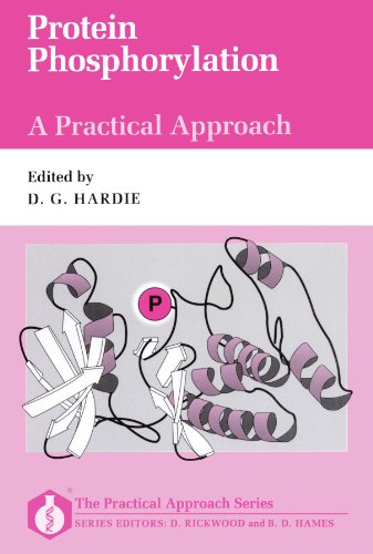 Stock image for Protein Phosphorylation: A Practical Approach for sale by Anybook.com