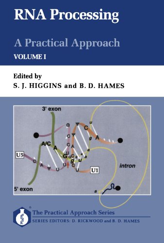 9780199633432: R.N.A. Processing: A Practical Approach, Volume 1 (Paper): 135 (Practical Approach Series)