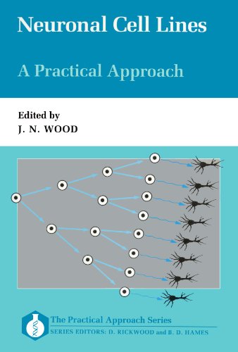 Stock image for Neuronal Cell Lines : A Practical Approach for sale by Maxwell Books