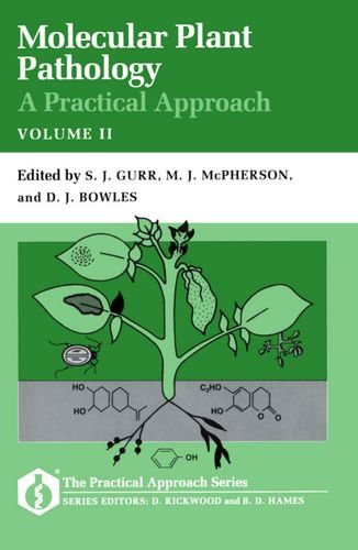 Beispielbild fr MOLECULAR PLANT BIOLOGY: VOL. II - A PRACTICAL APPROACH. zum Verkauf von Cambridge Rare Books