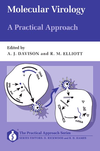 Stock image for Molecular Virology: A Practical Approach (Practical Approach Series) for sale by AwesomeBooks
