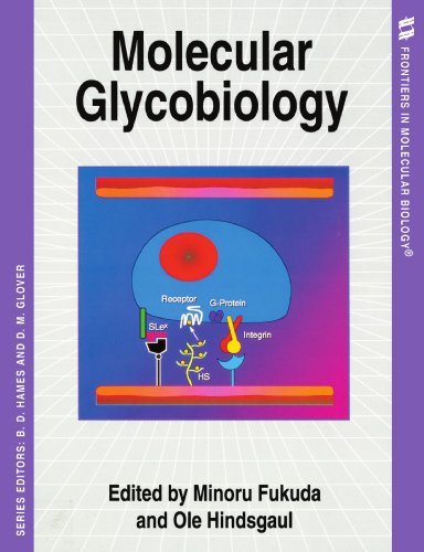 9780199633869: Molecular Glycobiology (Frontiers in Molecular Biology): 4