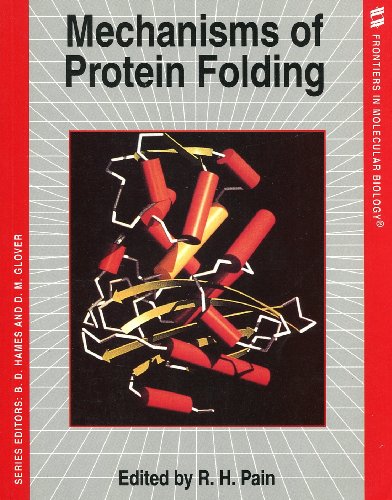 Beispielbild fr Mechanisms of Protein Folding (Frontiers in Molecular Biology, 3) zum Verkauf von HPB-Red