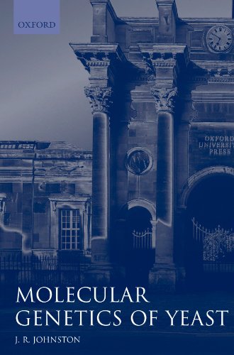 Stock image for Molecular Genetics of Yeast: A Practical Approach (Practical Approach Series) for sale by Phatpocket Limited