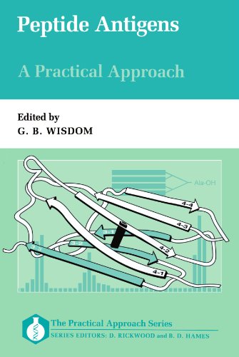 Beispielbild fr Peptide Antigens: A Practical Approach (Practical Approach Series, 144) zum Verkauf von Books From California