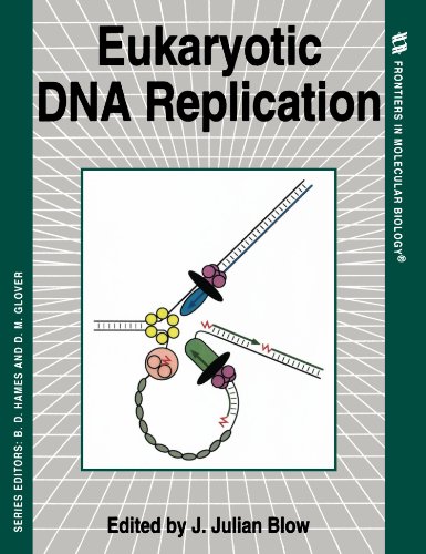 Stock image for Eukaryotic DNA Replication for sale by Better World Books: West