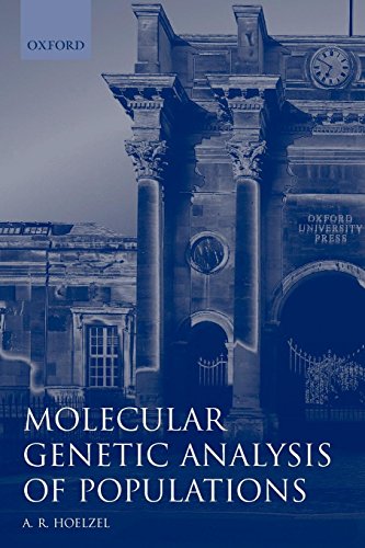 Stock image for MOLECULAR GENETIC ANALYSIS OF POPULATIONS: A Practical Approach (Practical Approach Series, #187) for sale by Falls Bookstore