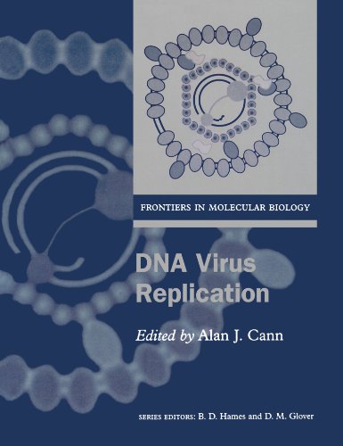 Imagen de archivo de DNA Virus Replication a la venta por Books Puddle