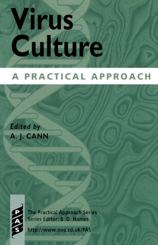 Imagen de archivo de Virus Culture: A Practical Approach (Practical Approach Series, 208) a la venta por Wonder Book