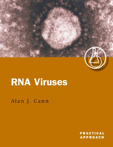 Imagen de archivo de RNA Viruses: A Practical Approach a la venta por Bookcase