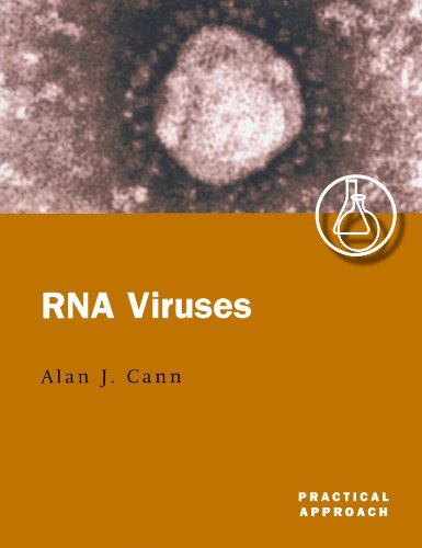 Stock image for RNA Viruses: A Practical Approach for sale by Bookcase