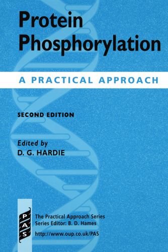 Stock image for Protein Phosphorylation: A Practical Hardie, D. G. for sale by Iridium_Books