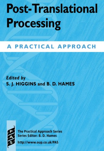 Stock image for Post-Translational Processing: A Practical Approach for sale by Anybook.com