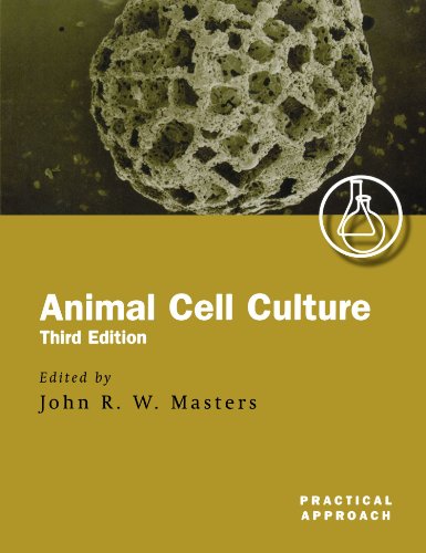 Stock image for Animal Cell Culture: A Practical Approach for sale by Anybook.com